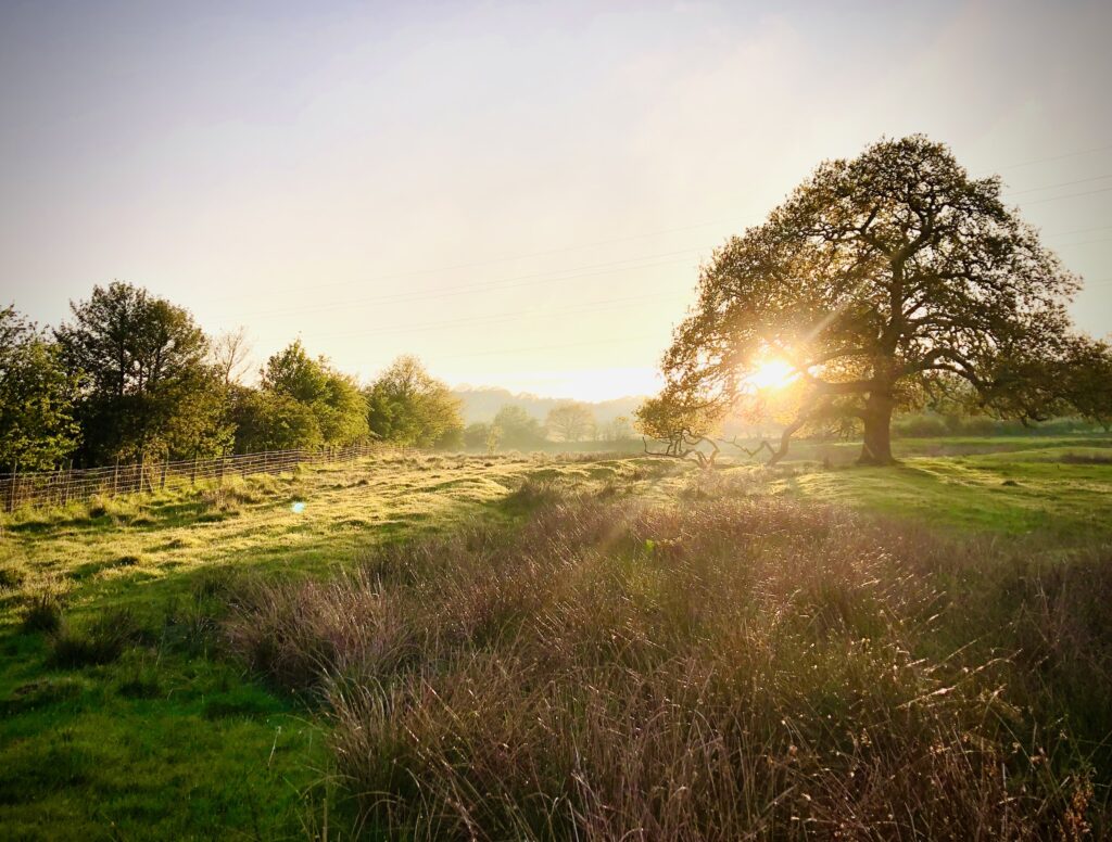 Sunset over a tranquil landscape.